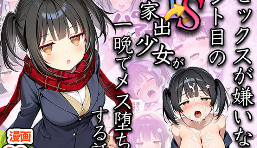 セックスが嫌いなジト目TS家出少女が一晩でメス堕ちする話【悪魔ほろほろ】