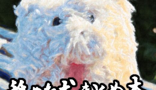 舐めた犬まとめ本【舐めた犬】