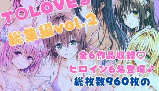 ToLOVEる総集編Vol.2【あんらいふ】