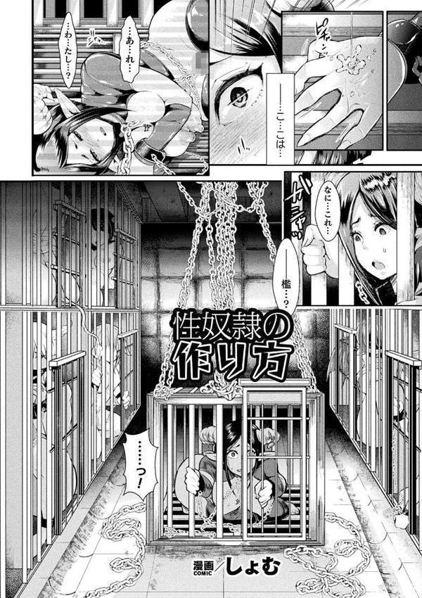 コミックアンリアル ザ・ベスト 壁尻コレクション【太平さんせっと 種梨みや 煌野一人 しょむ ソメジマ 田中竕 ミナトヨ はねつ】 エロ画像 019