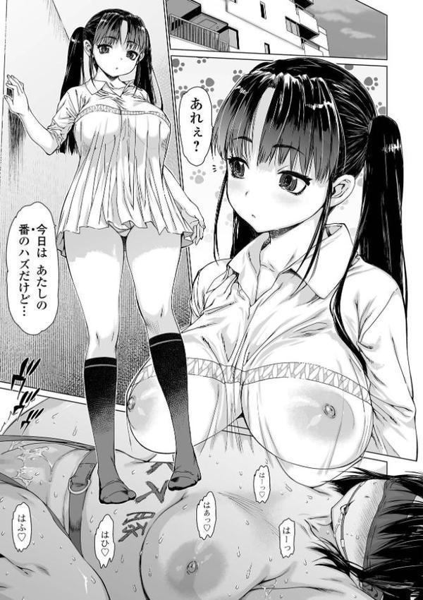 メスシコ【ゼロの者】 エロ画像 027