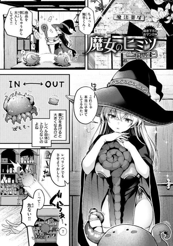ここは淫らな異世界です。【ミャモ】 エロ画像 043