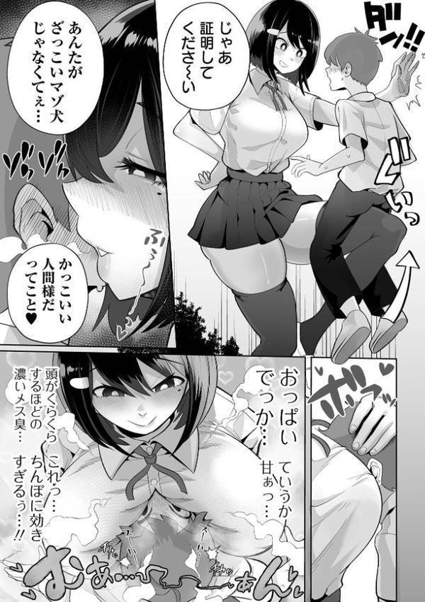 ザコマゾ・ホイホイ【手羽咲ちきん 一水社編集部】 エロ画像 005
