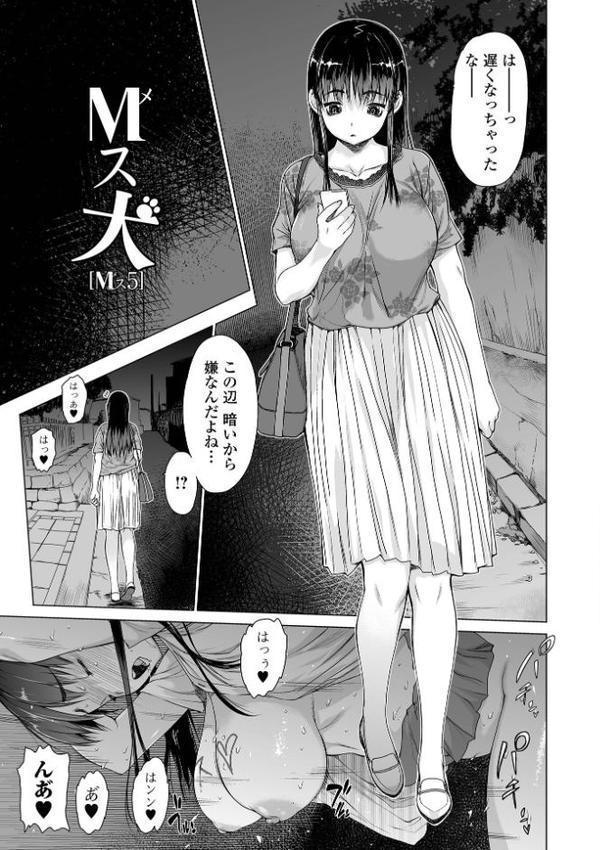 メスシコ【ゼロの者】 エロ画像 007