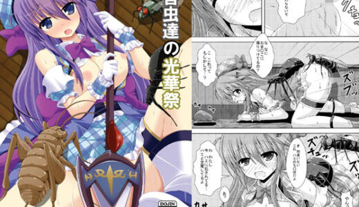 害虫達の光華祭【ドリームプロジェクト】