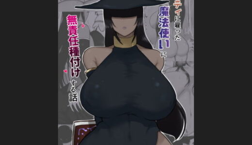 パーティに雇った魔法使いに無責任種付けする話【イニシアティ部】