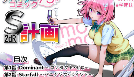 S計画.2 〜第3王女・モモ、奴◯堕ち〜【2dR】