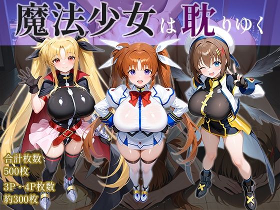 魔法少女は耽りゆく【AID_oll】