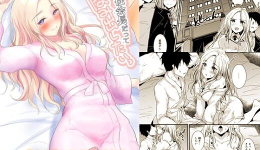 生徒会長だってはみだしたいっ【布の家】