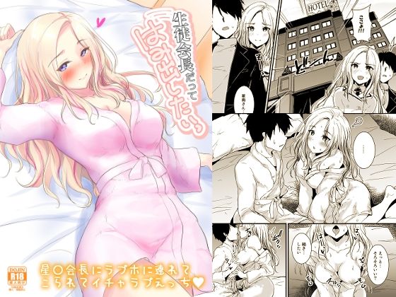 生徒会長だってはみだしたいっ【布の家】