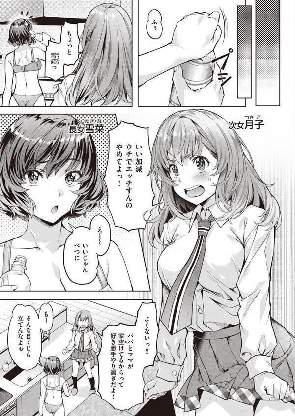 みだれ 雪月花