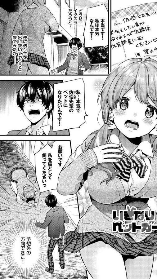 スキコイ【FANZA限定版】【sorani コミックバベル編集部】