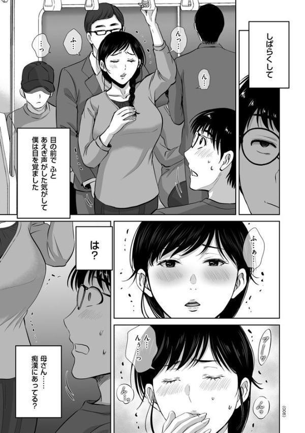 メスざかりの母たちへ【星月めろん】 hitomi無料エロ漫画（同人誌）サンプル画像005
