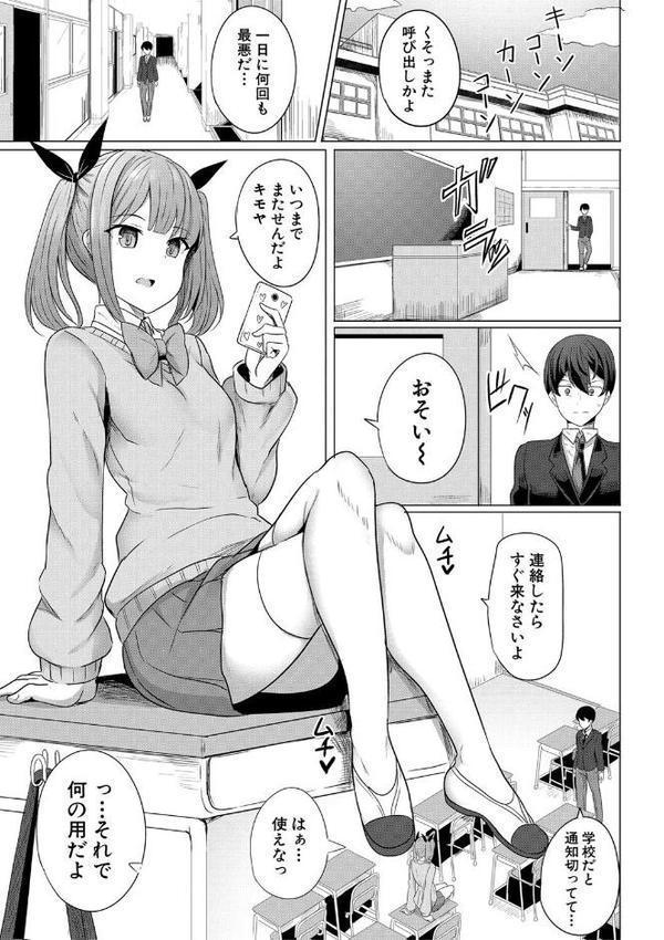 ヒプノリベンジ いじめっ娘たち淫乱肉オナホ化計画【FANZA特装版】【デジタル特装版】【ヤスヒロ】