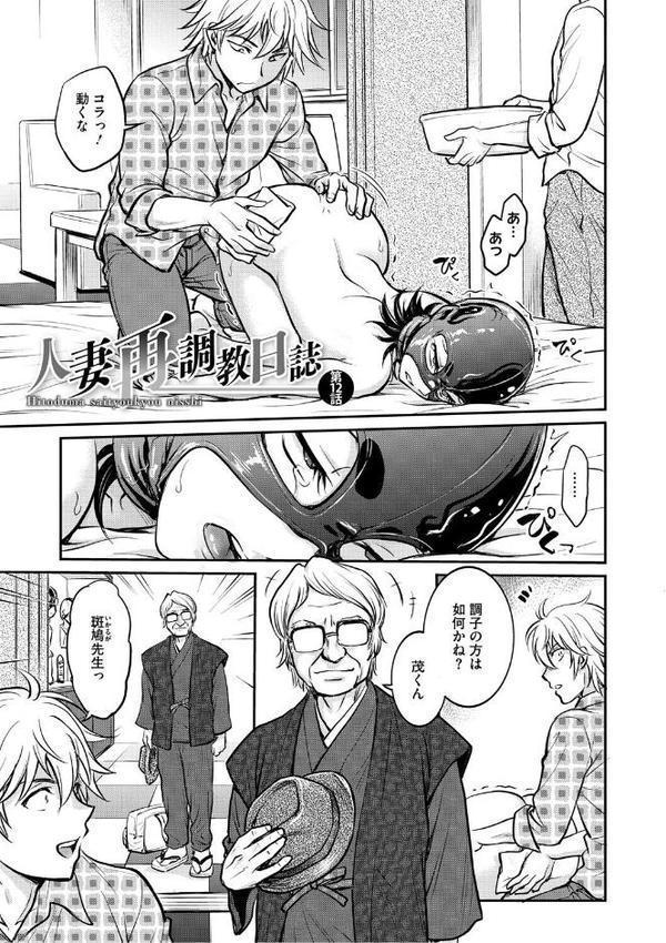 人妻再調教日誌【船堀斉晃】