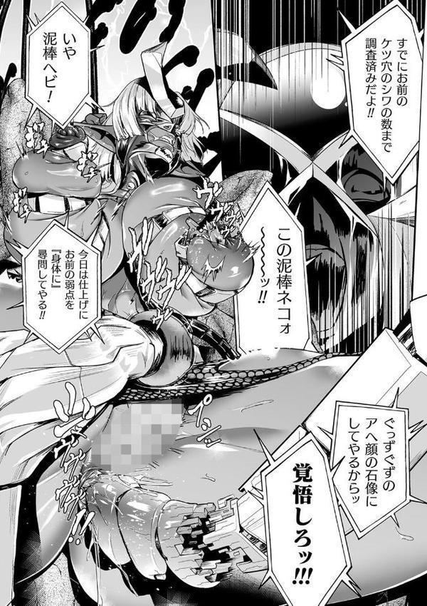 嬢体異錠【もう】