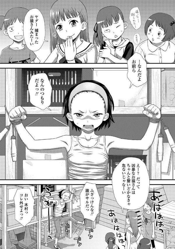 ともだちの輪【FANZA限定特典付き】
