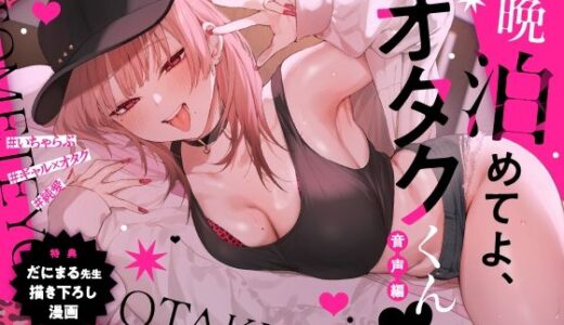 一晩泊めてよ、オタクくん 音声編【いちのや】