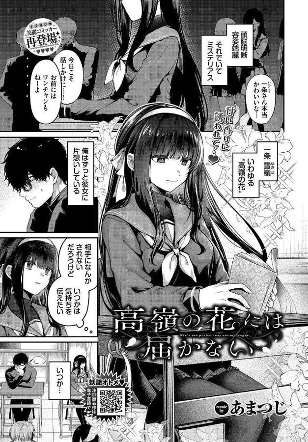 高嶺の花には届かない【あまつじ コミックバベル編集部】