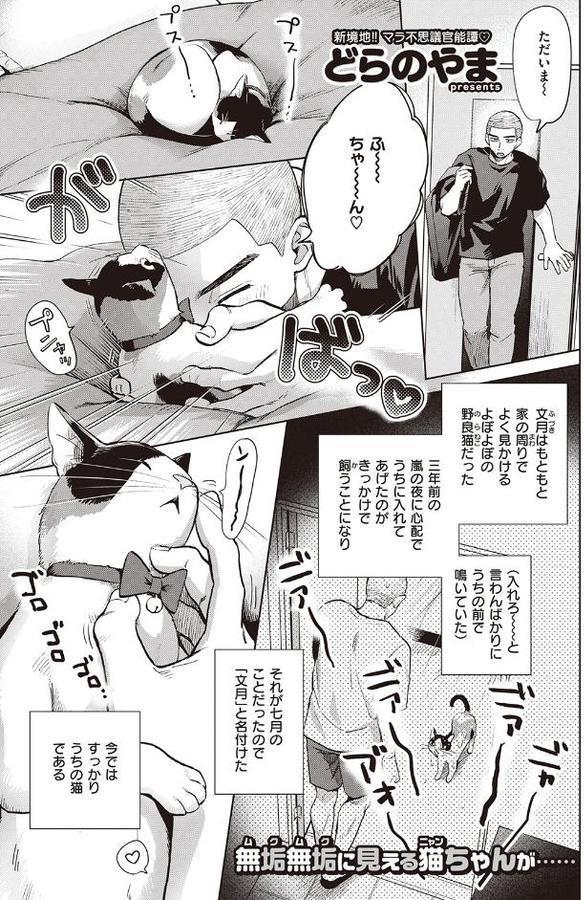 ツインテールの下僕