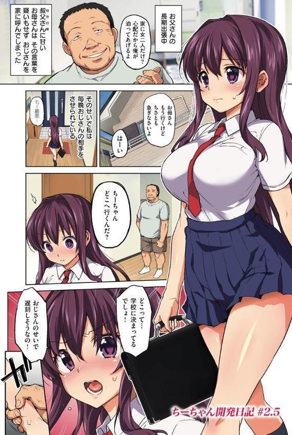 ちーちゃん開発日記【デジタル特装版】【むちゃ】