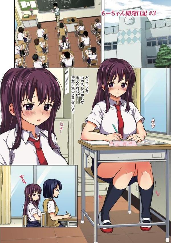 ちーちゃん開発日記【通常版】【むちゃ】