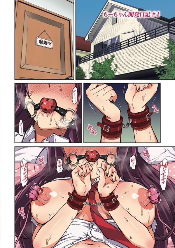 ちーちゃん開発日記【デジタル特装版】【むちゃ】
