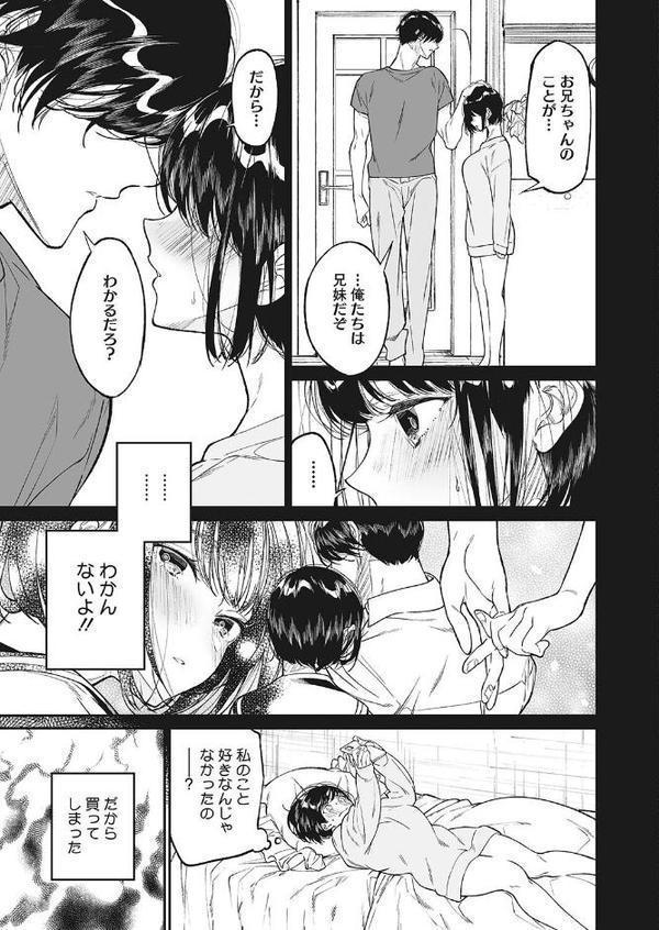 わたしのおもちゃと、おにいちゃんと【浅川】