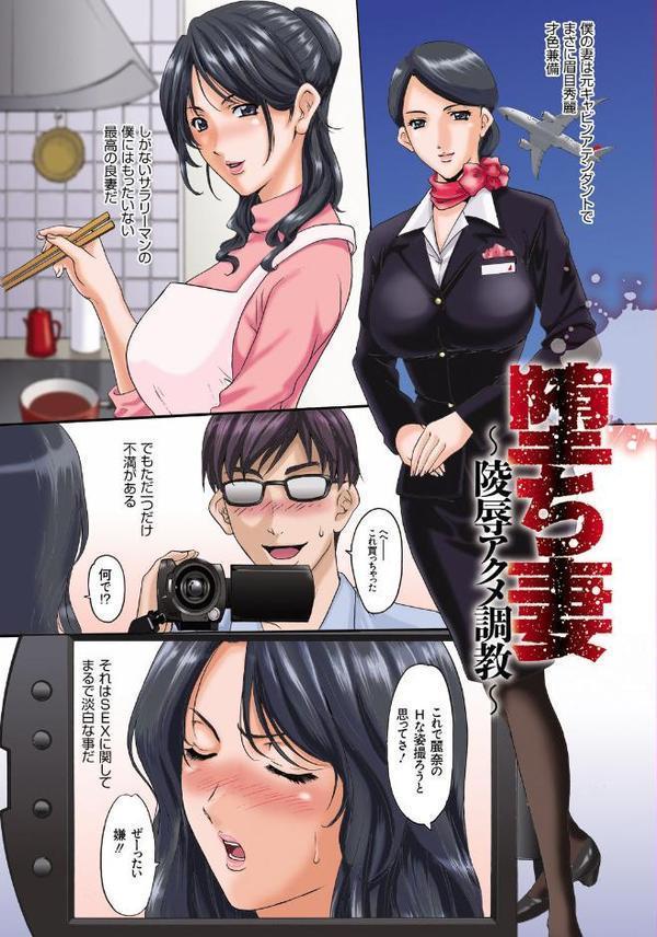 人妻快姦アクメ堕ち