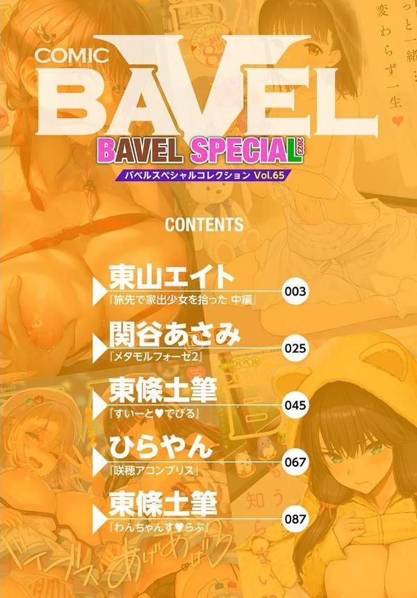 COMIC BAVEL SPECIAL COLLECTION（コミックバベル スペシャルコレクション）VOL65