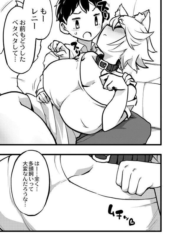 愛犬の発情期。