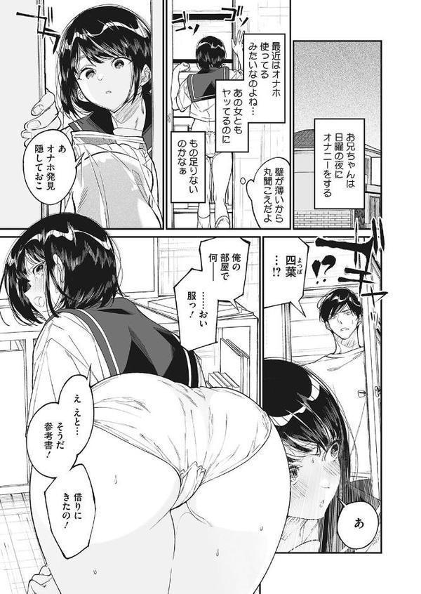 わたしのおもちゃと、おにいちゃんと【浅川】