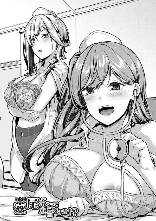 エッチなナース達が個室で交尾してくれるって本当ですか！？【通常版】【双葉八重】
