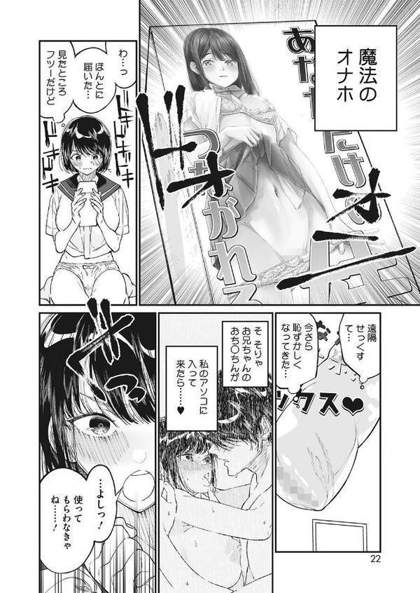 わたしのおもちゃと、おにいちゃんと【浅川】