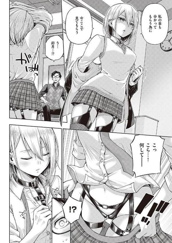 リトルバッドバニー