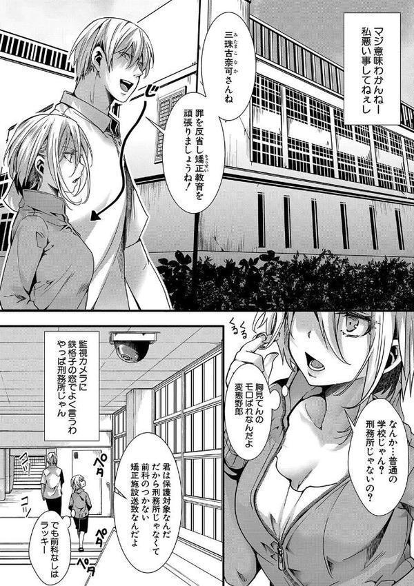 少女A矯正交尾 -人生舐めプ中のメスに肉棒で再教育しちゃいました-通常版【hal】