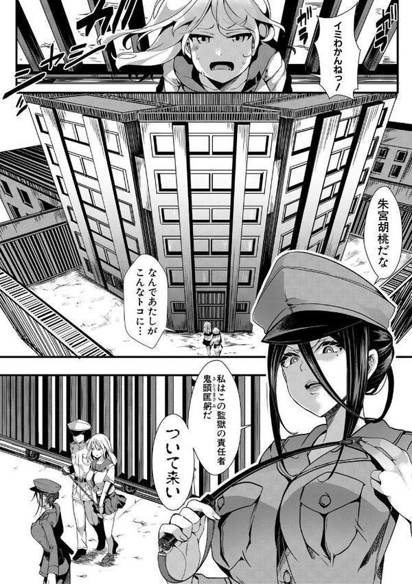 メス穴無法地帯 -問答無用の膣内出し懲役-【電子版特典付き】