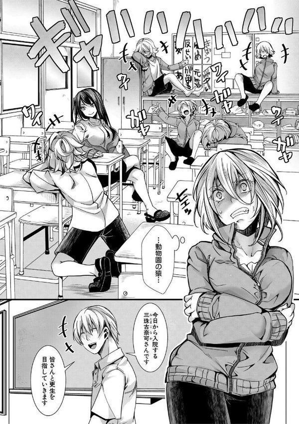 少女A矯正交尾 -人生舐めプ中のメスに肉棒で再教育しちゃいました-特装版【hal】