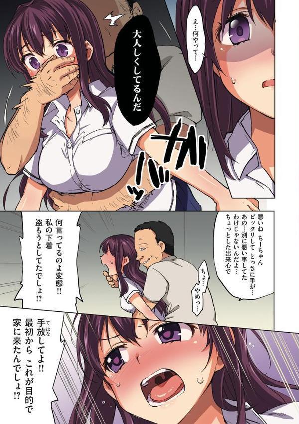 ちーちゃん開発日記【デジタル特装版】【むちゃ】