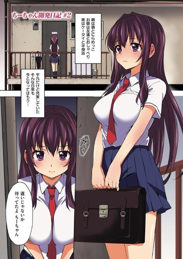 ちーちゃん開発日記【通常版】【むちゃ】