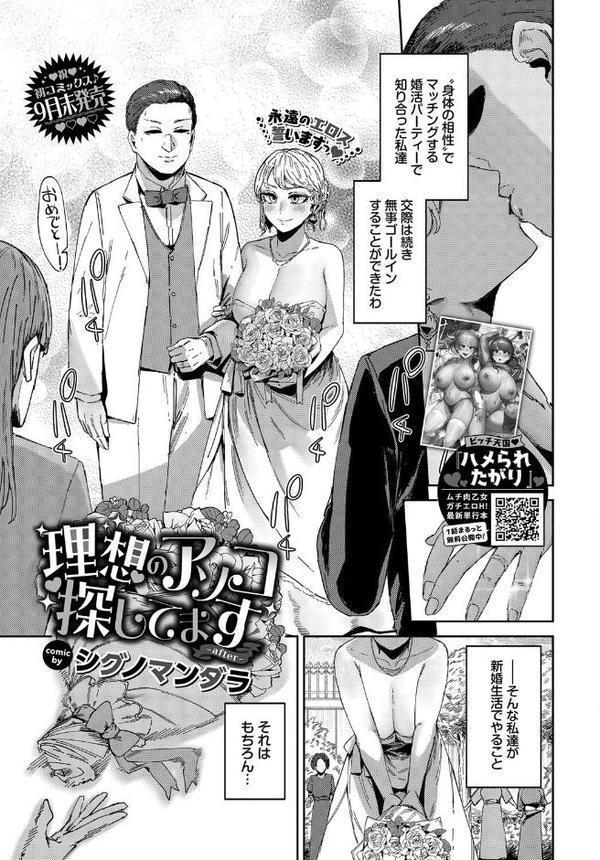 COMIC BAVEL 2025年11月号