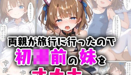 両親が旅行に行ったので初潮前の妹をオナホにした