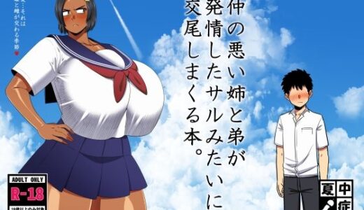仲の悪い姉と弟が発情したサルみたいに交尾しまくる本。【夏中症】
