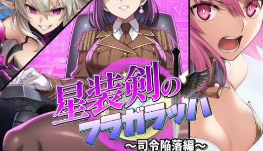 星装剣のフラガラッハ〜司令陥落編〜【AfterImage】