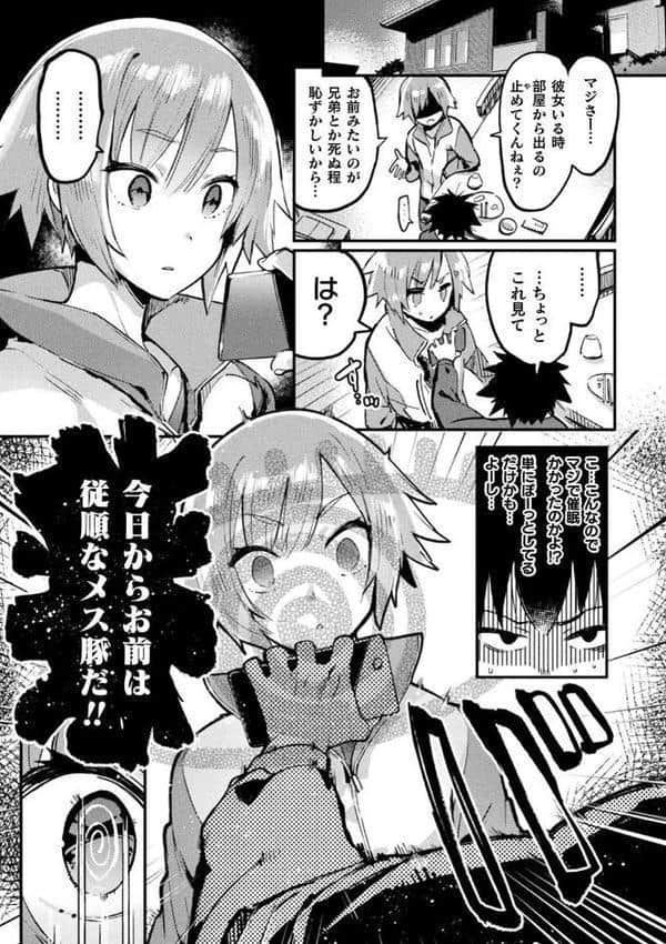 フタナリおチ×ポコレクション 【通常版】
