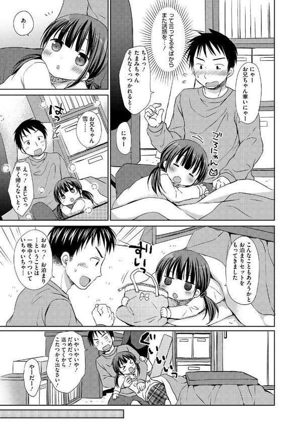 飼い猫にゃんにゃん