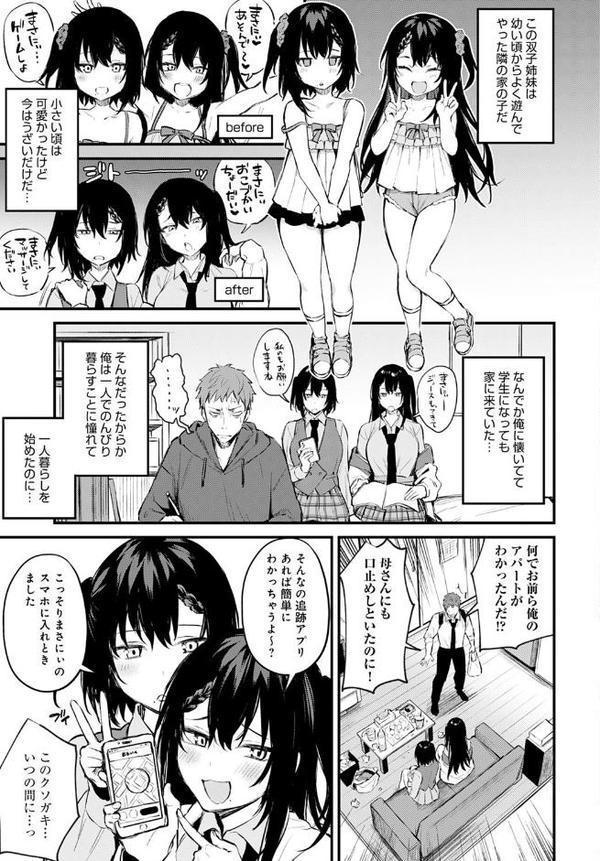ふたご盛り