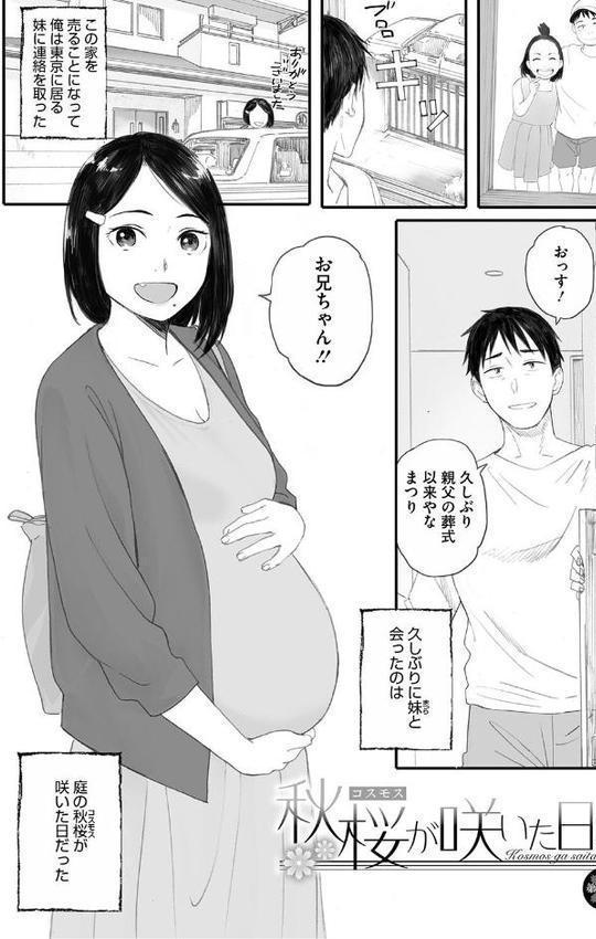 秋桜が咲いた日に【単行本版】【荒井啓】
