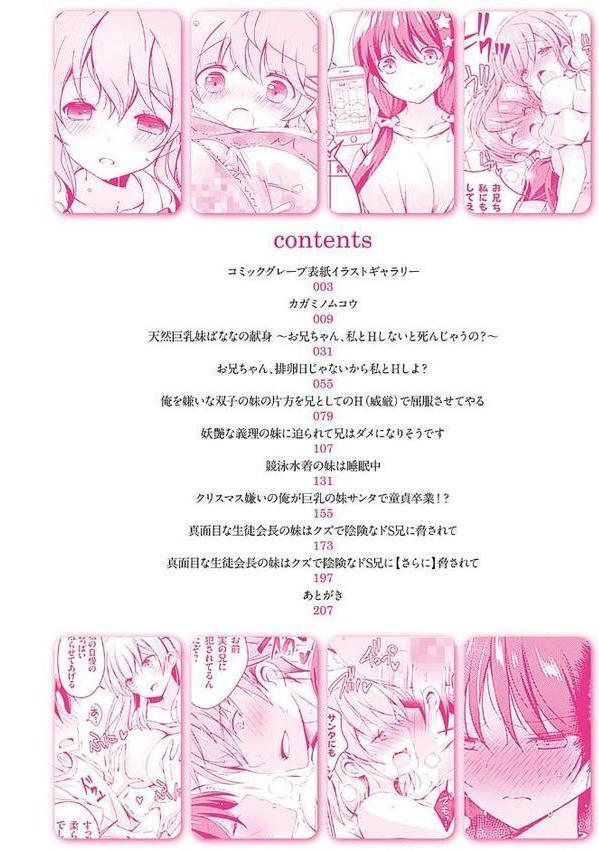 いもうとサンクチュアリ【デジタル特装版】【FANZA限定特典付き】【vanilla】