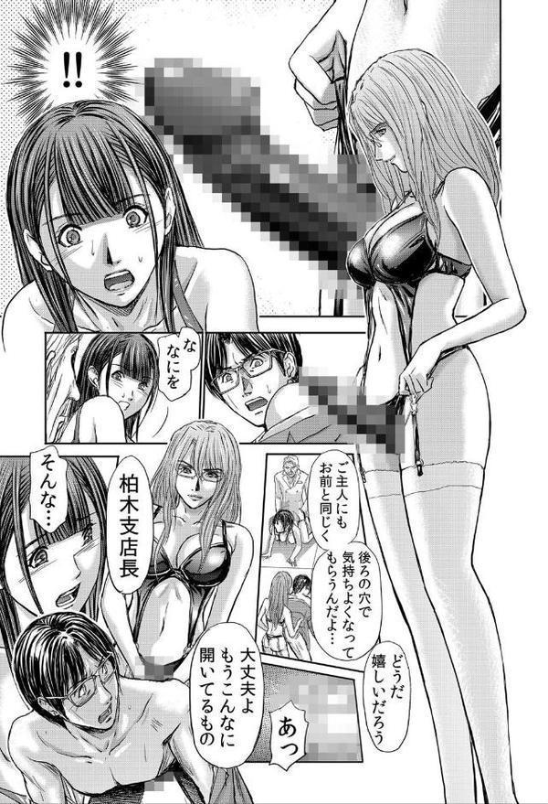 不倫妻〜抗えない恥辱に濡れた花弁 24【安達拓実】
